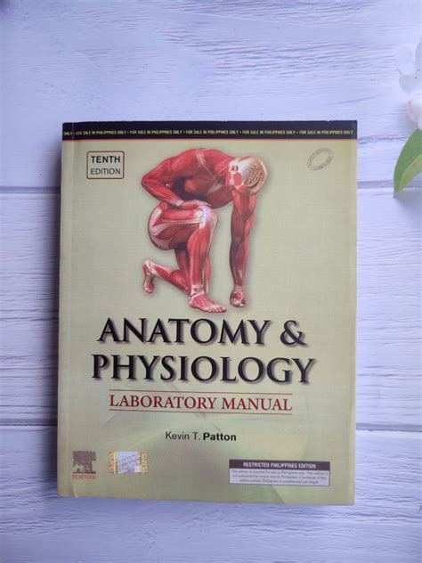 anatomy physiology lab manual answers|anatomy and physiology manual pdf.